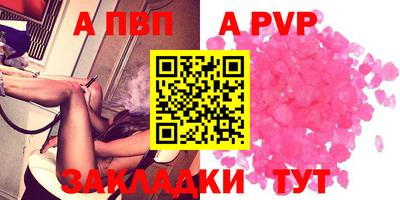 стафф Донской