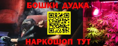 стафф Донской