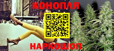стафф Донской
