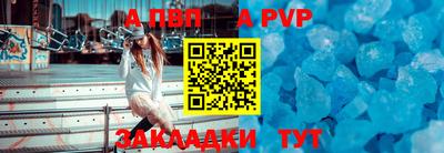 стафф Донской