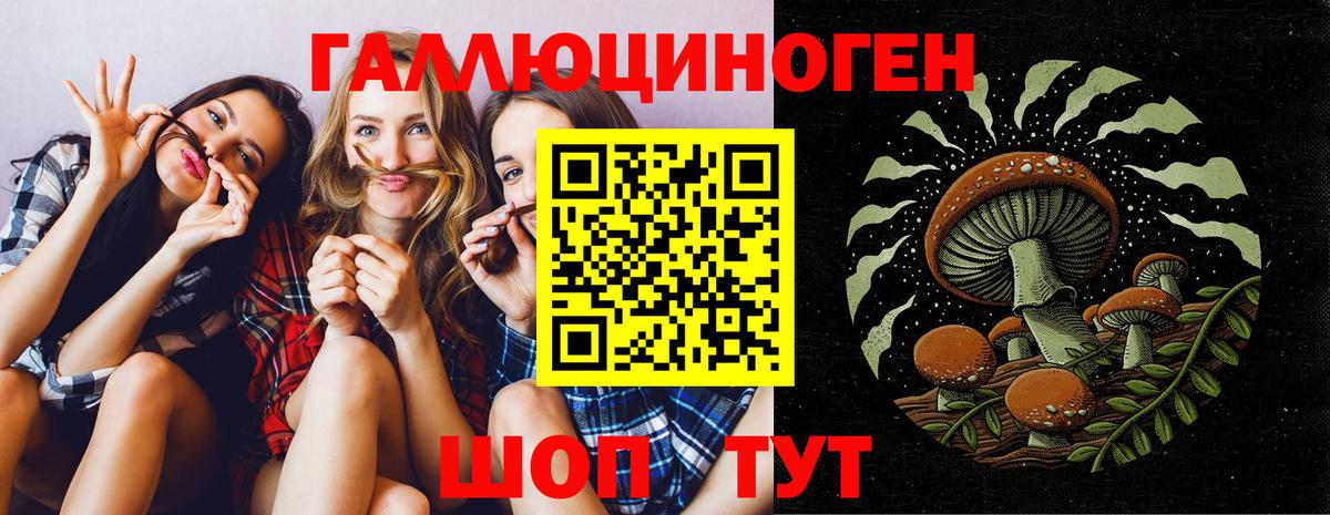 Набережные Челны  Псилоцибиновые грибы GOLDEN TEACHER  Галлюциногенные грибы мухоморы  где найти   Вход с VPN 